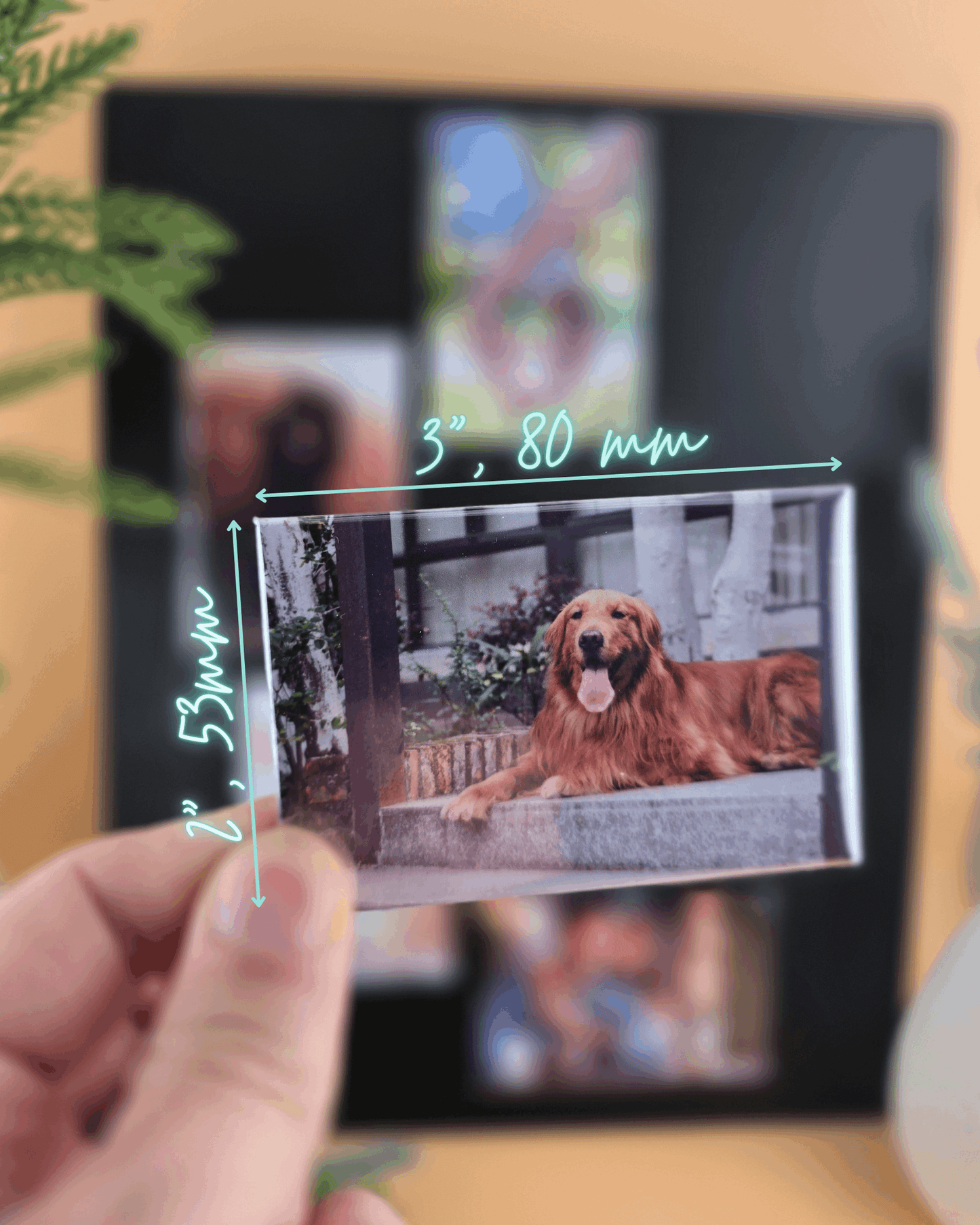 Premium Custom Photo Magnets 80x53mm - Set of 6