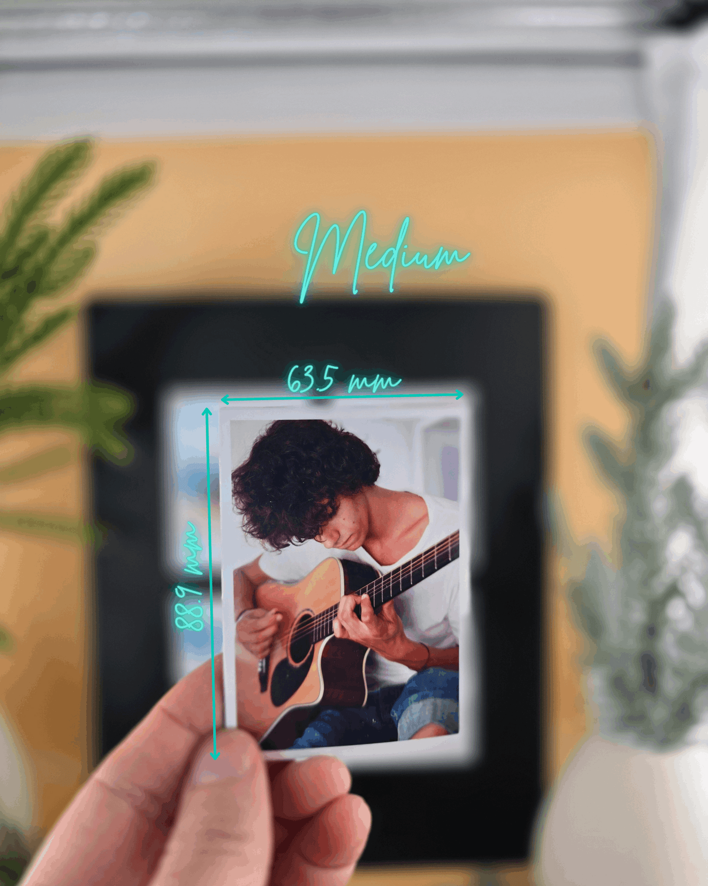 Custom Photo Magnets, Set of 12