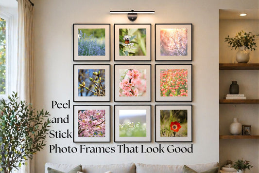 Peel and Stick Photo Frames That Look Good (And Actually Last)