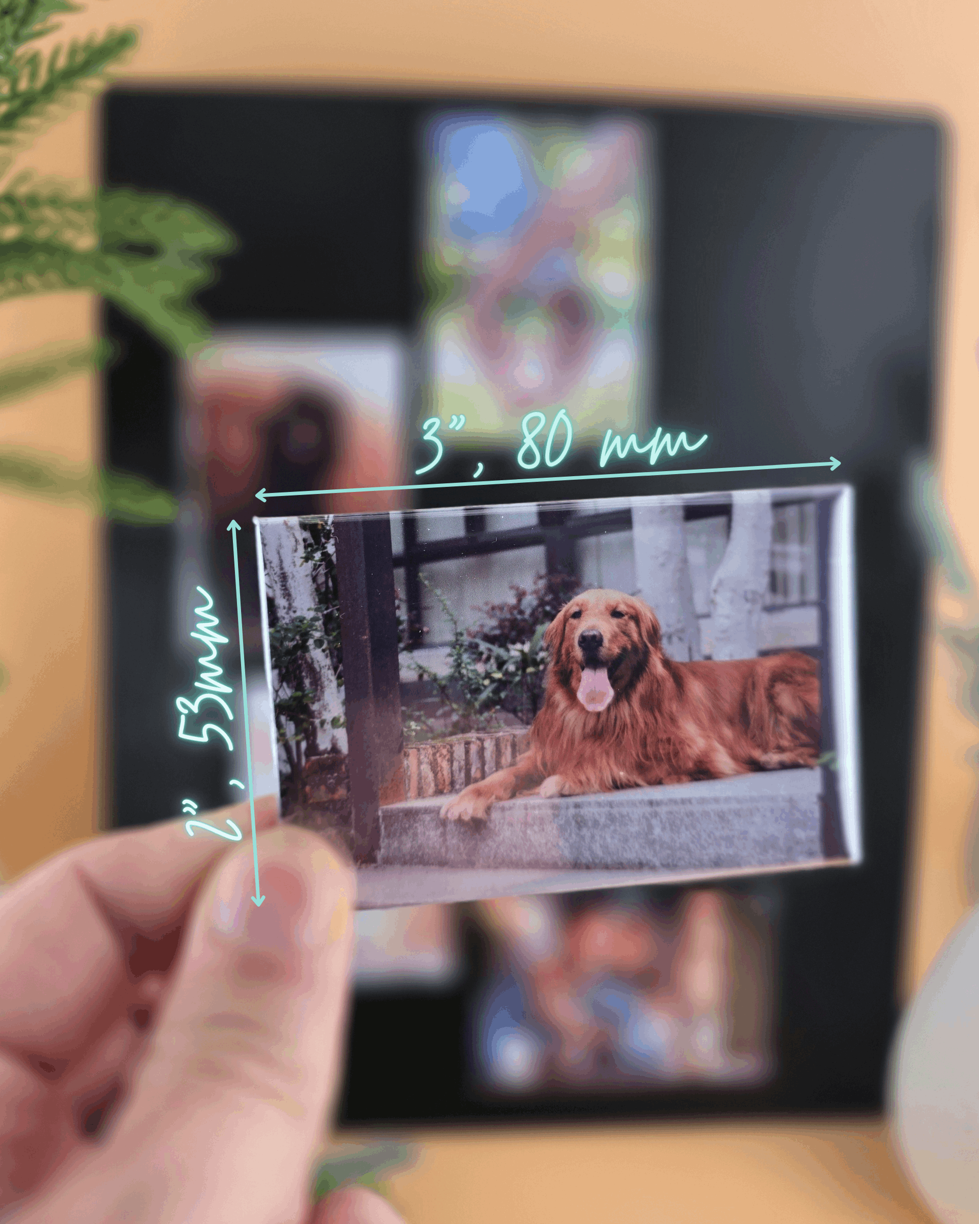 Premium Custom Photo Magnets 80x53mm - Set of 6