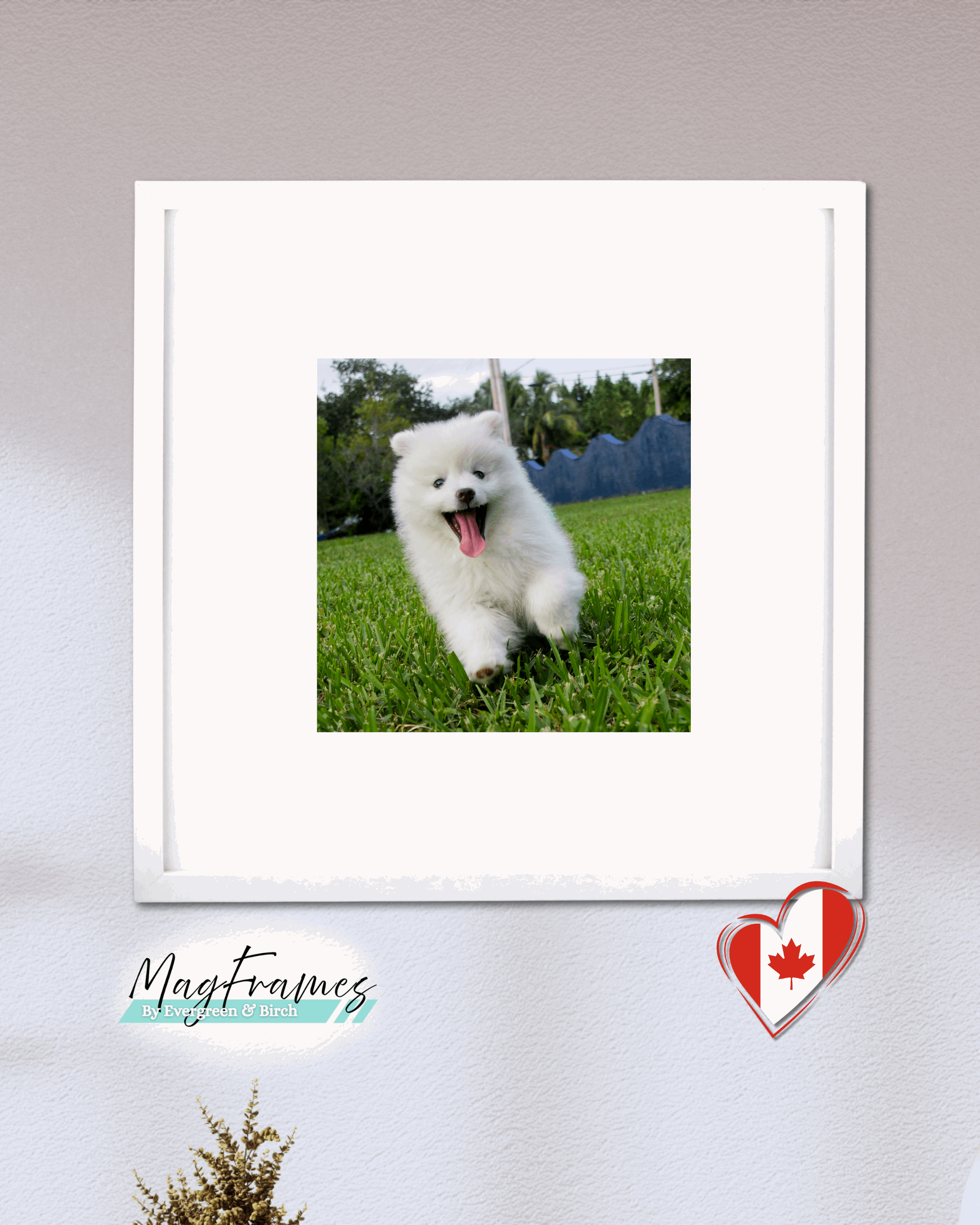 12x12 MagFrames – Magnetic Peel & Stick Photo Frame for Gallery Walls & Home Decor