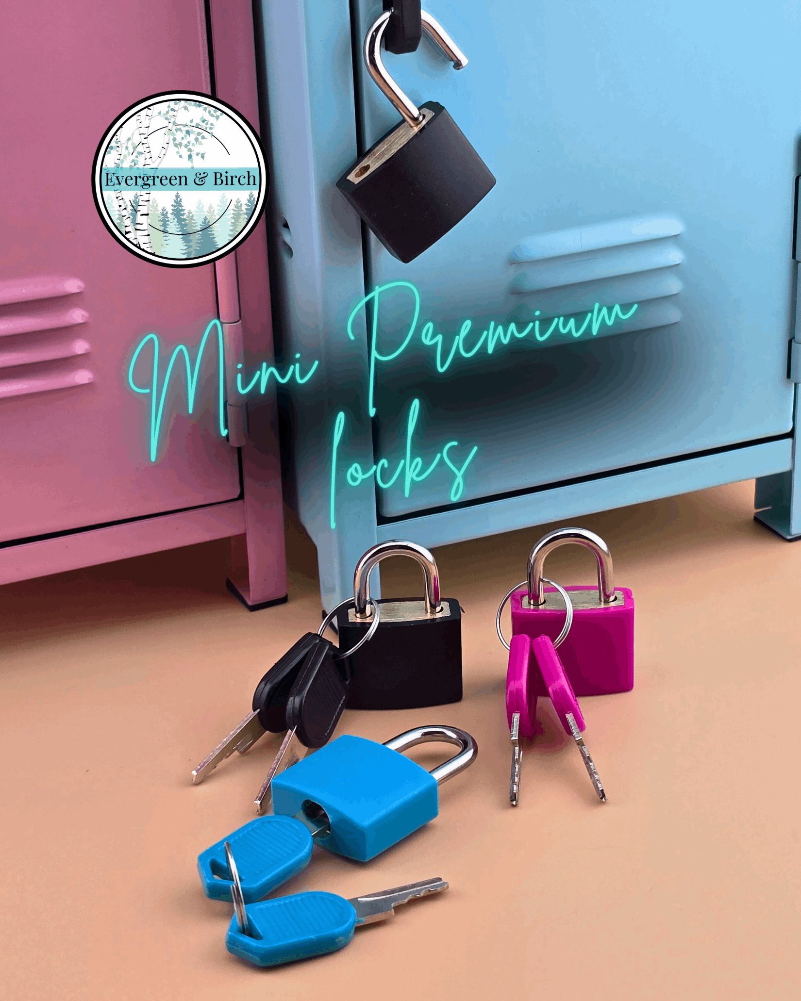 Mini Premium Padlocks with 2 Keys