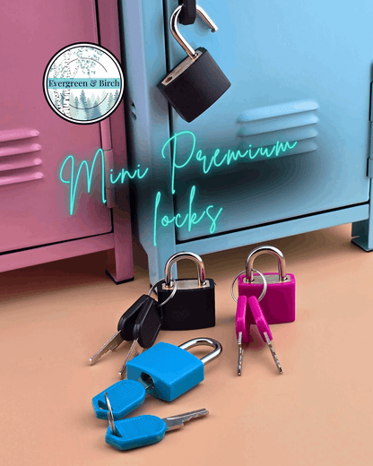 Mini Premium Padlocks with 2 Keys