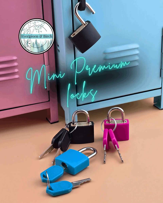 Mini Premium Padlocks with 2 Keys