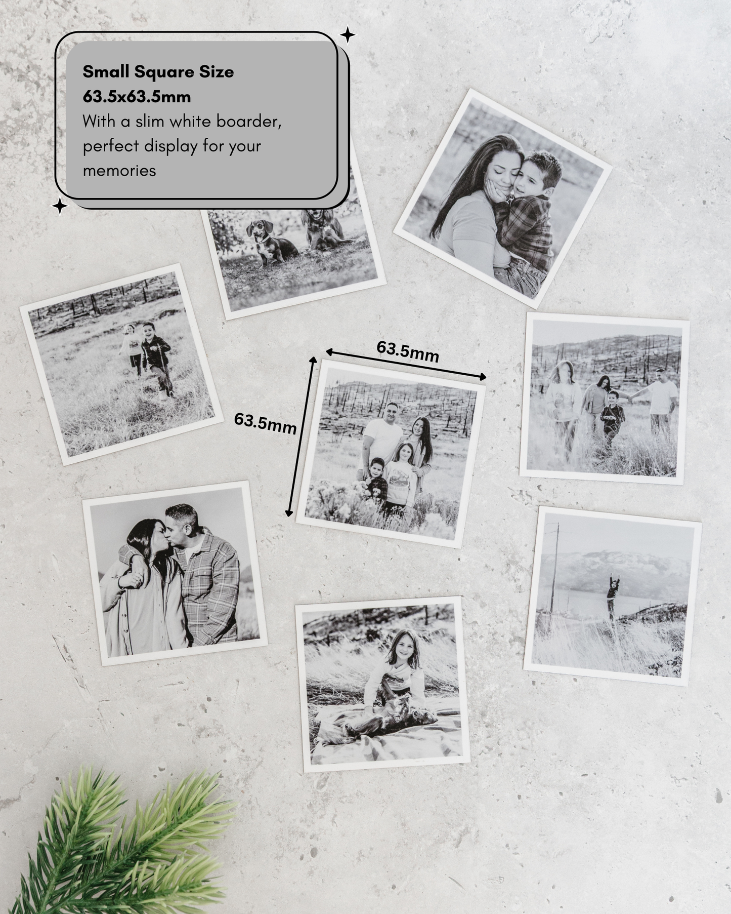 Custom Photo Magnets, Set of 12