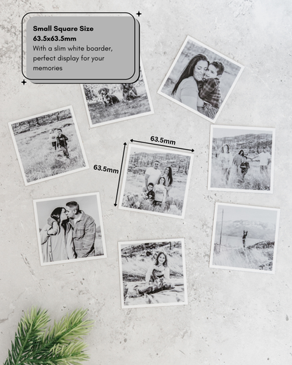 Custom Photo Magnets, Set of 12