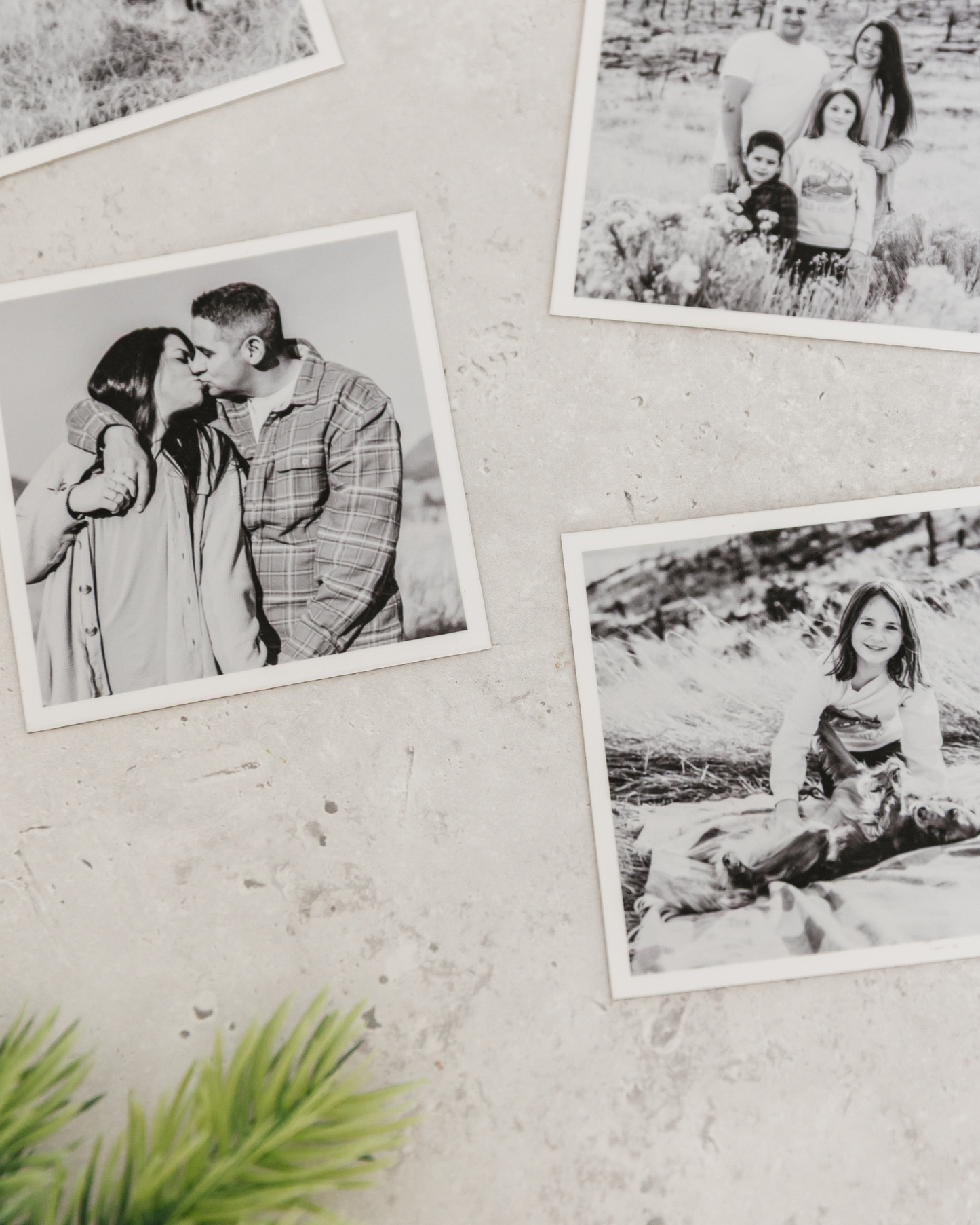 Custom Photo Magnets, Set of 12