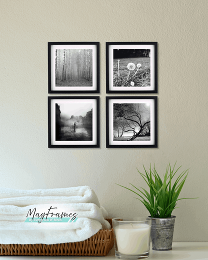 8x8 black magnetic peel and stick photo frames arranged as a square gallery wall set of 4 above a shelf with plant decor.