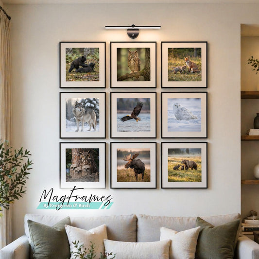 Marcos de Fotos Magnéticos de 12x12 – Pared de Galería Adhesiva | MagFrames Canadá