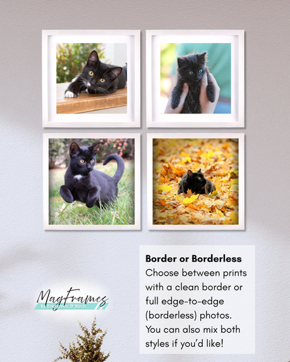 Four MagFrame photos of a black cat in various settings on a wall, with text about border options.
