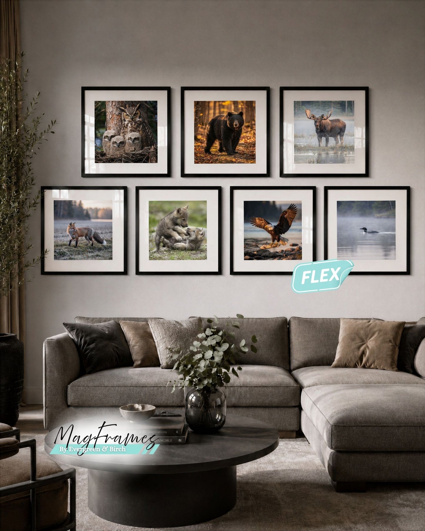 Black MagFrames Flex interchangeable picture frames displaying Canadian wildlife artwork in a cozy living room gallery wall.
