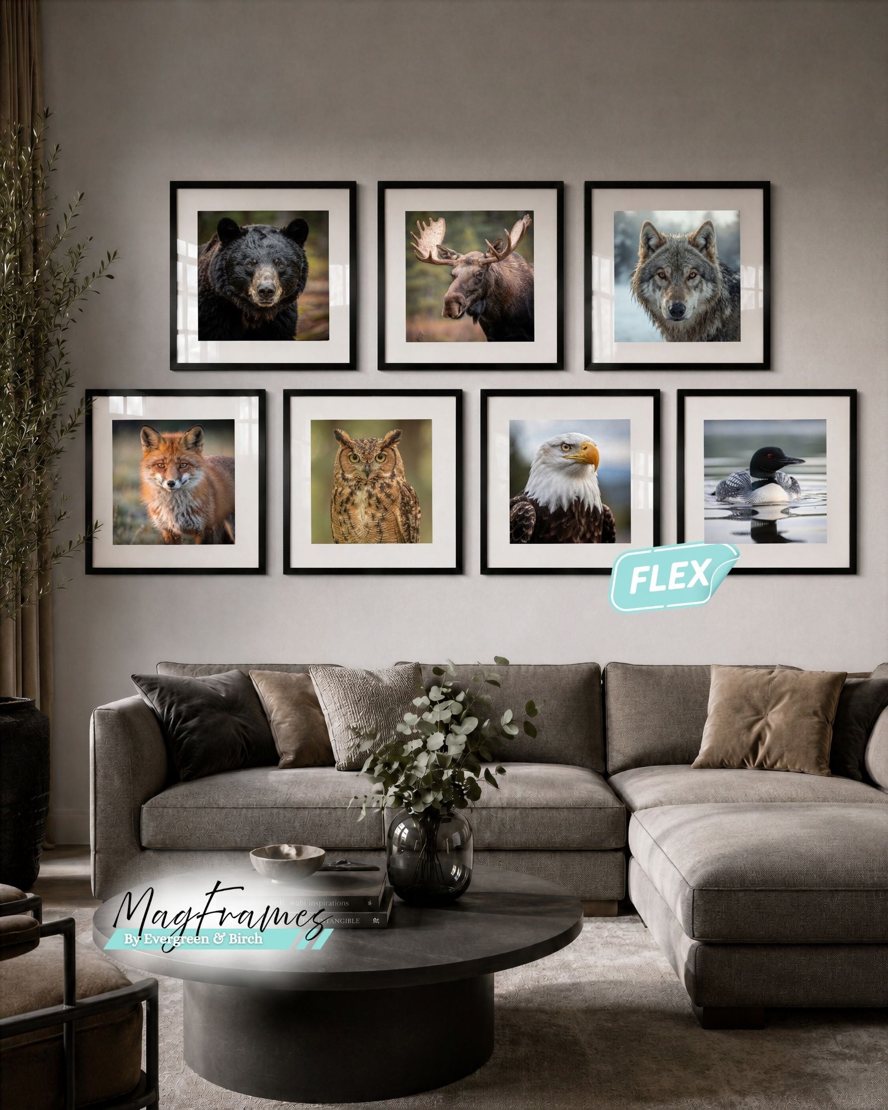 Black MagFrames Flex gallery wall with Canadian animal portraits above a gray sectional sofa in a cozy living room.